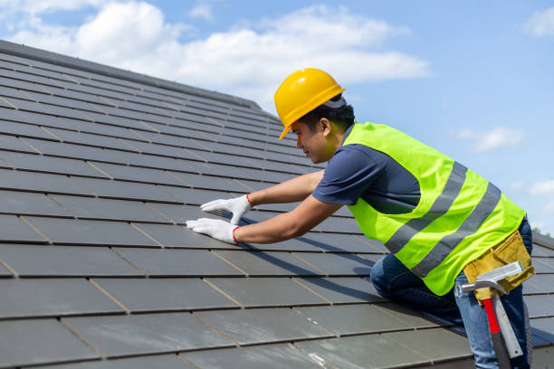 Best Gutter Installation and Roofing  in Dahlone, GA