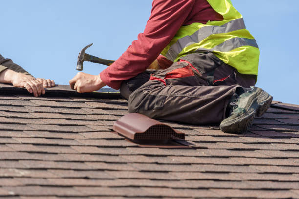 Best Roof Waterproofing Services  in Dahlone, GA