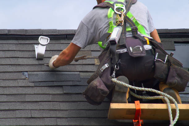 Best Shingle Roofing Installation  in Dahlone, GA