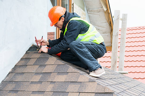 Best Residential Roofing Contractor  in Dahlone, GA