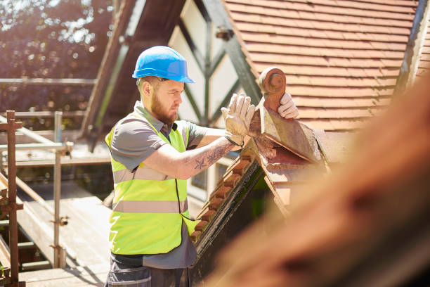 Professional Roofing Contractor in Dahlonega, GA