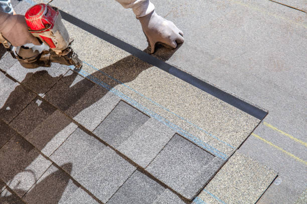 Best Local Roofing Companies  in Dahlone, GA