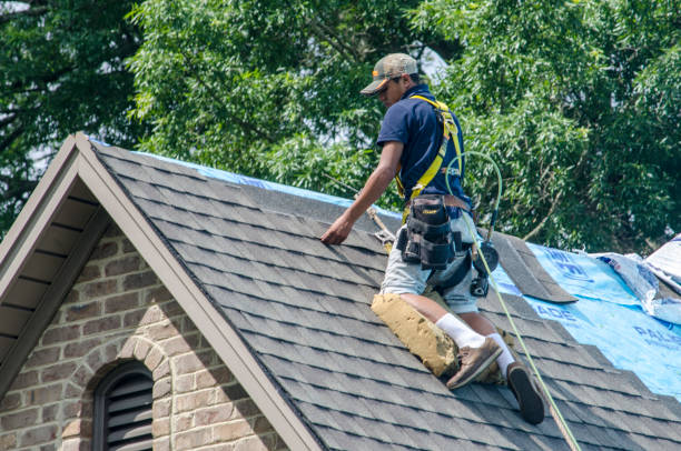 Best Affordable Roofing Company  in Dahlone, GA
