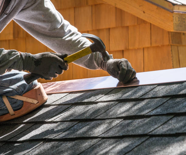 Best Roof Restoration Services  in Dahlone, GA